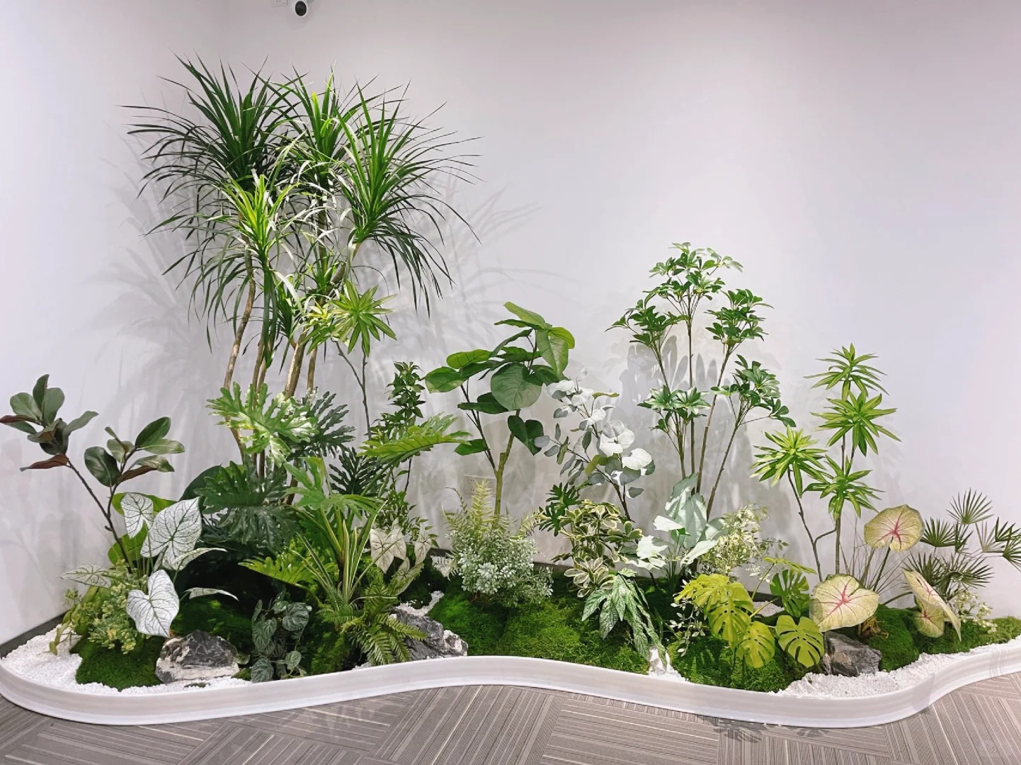 专业的力量!北仑植物出租超靠谱